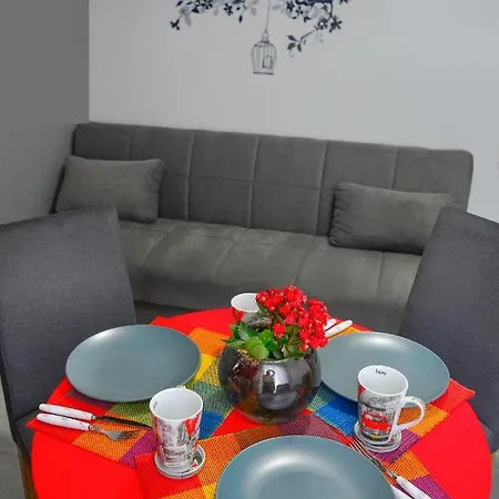 Anna * 마스티차리